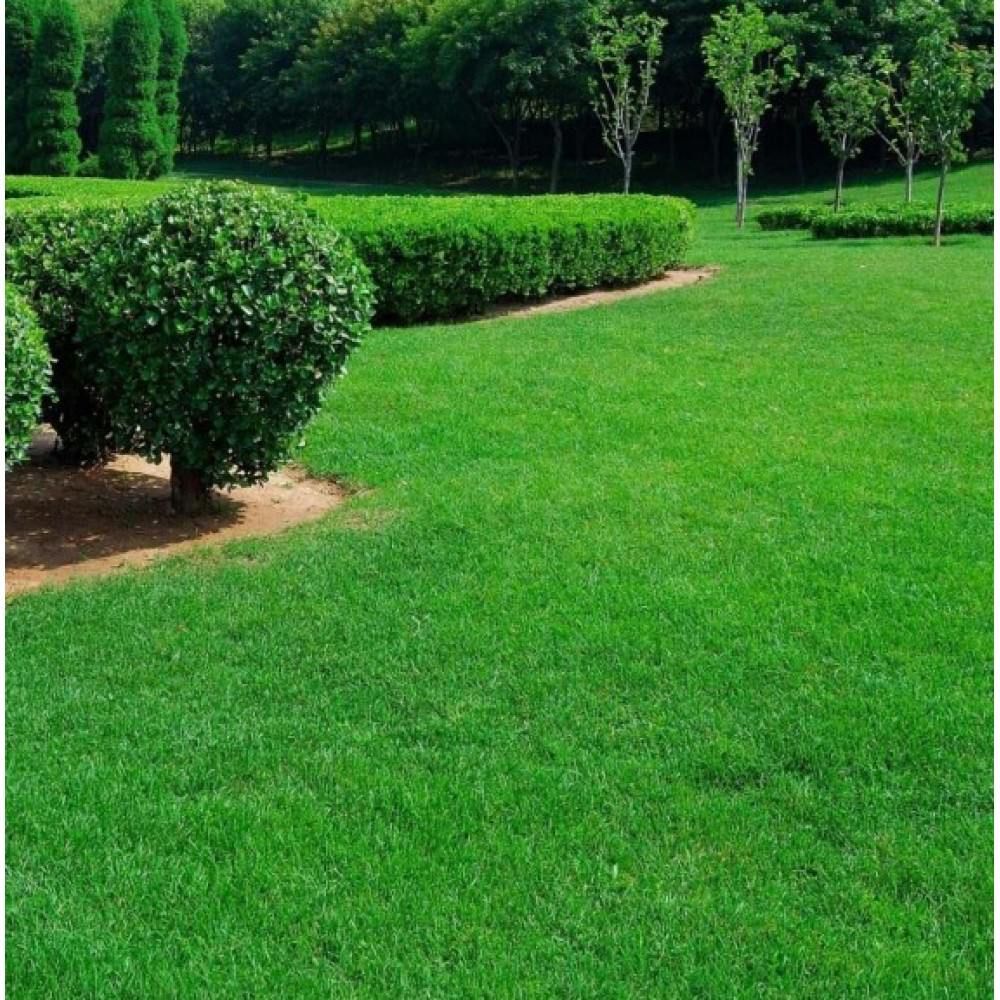 Lawn Care for Bermuda Blades in Hope Mills, NC