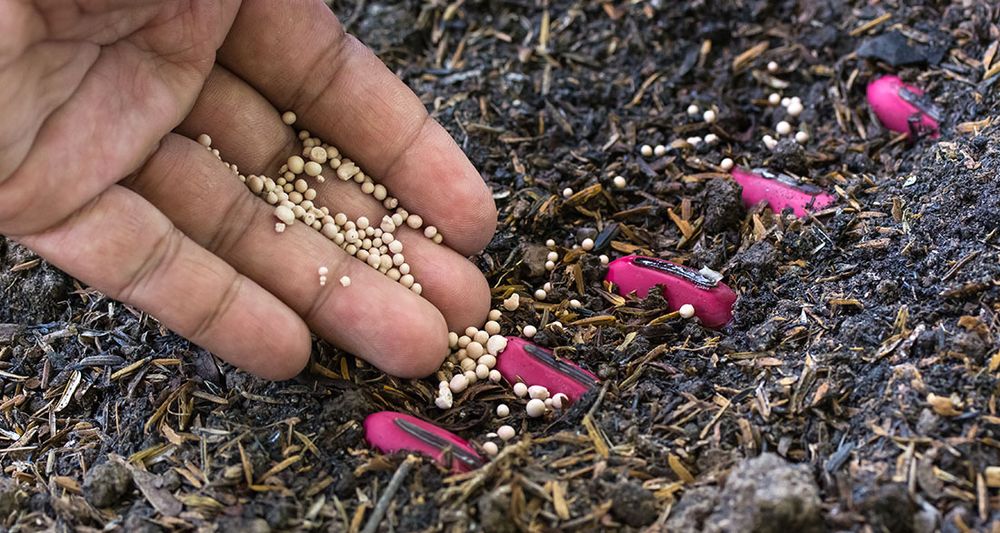 All Photos for TLC Professional Tree Service in Bedford, TX