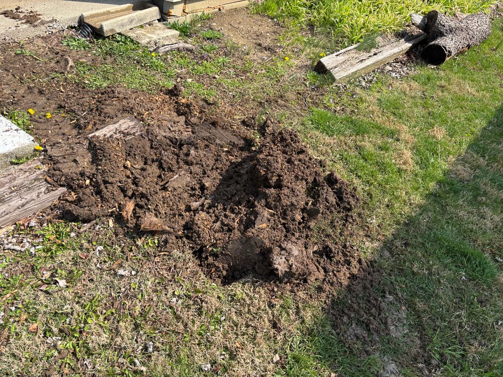All Photos for Conrad's Stump Removal in Columbus, IN