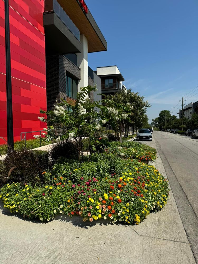 Seasonal color changes for Guerrero's Landscape in Fort Worth,  TX