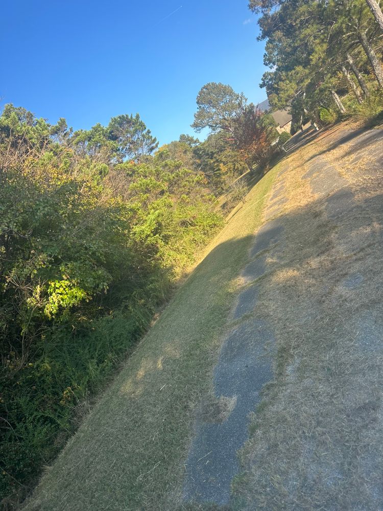 All Photos for J.P Landscaping and excavation in Chattanooga, TN