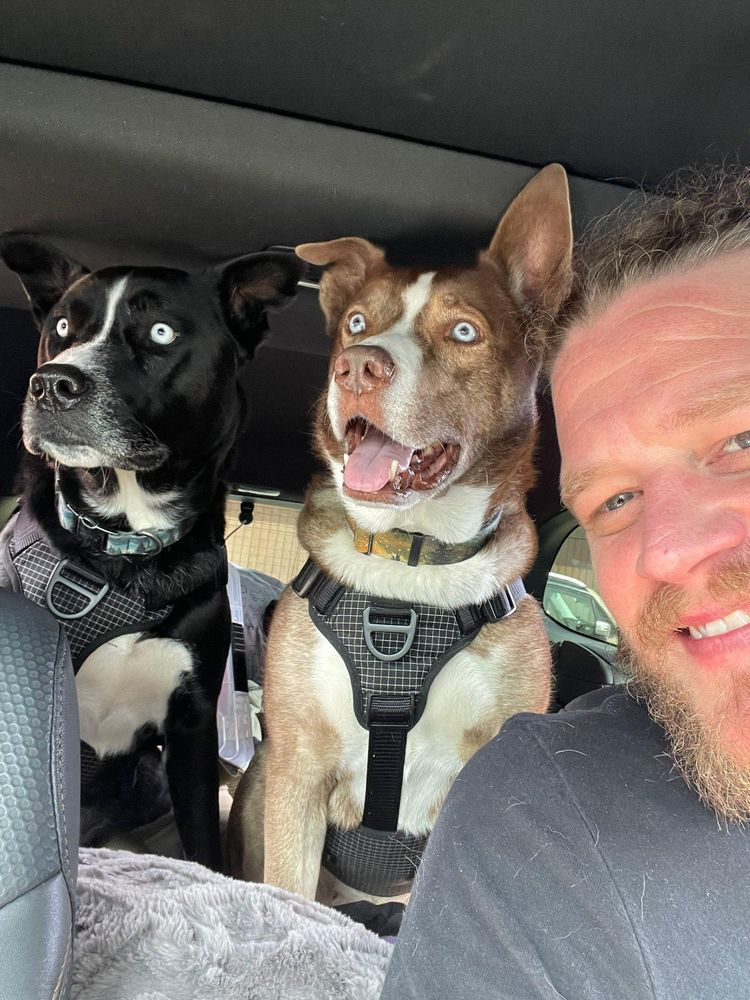 It's really about the pets we meet along the way... for Mr. Pipe Dreams LLC in Colorado Springs, CO