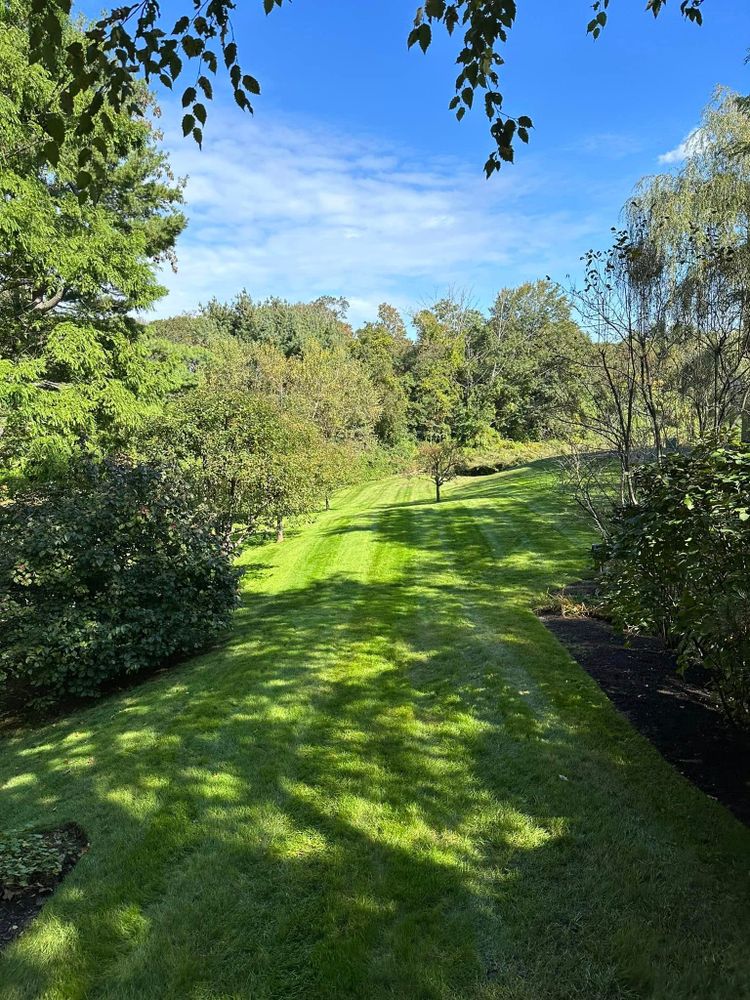 All Photos for Saavedra & Sons Landscaping in Waltham, MA