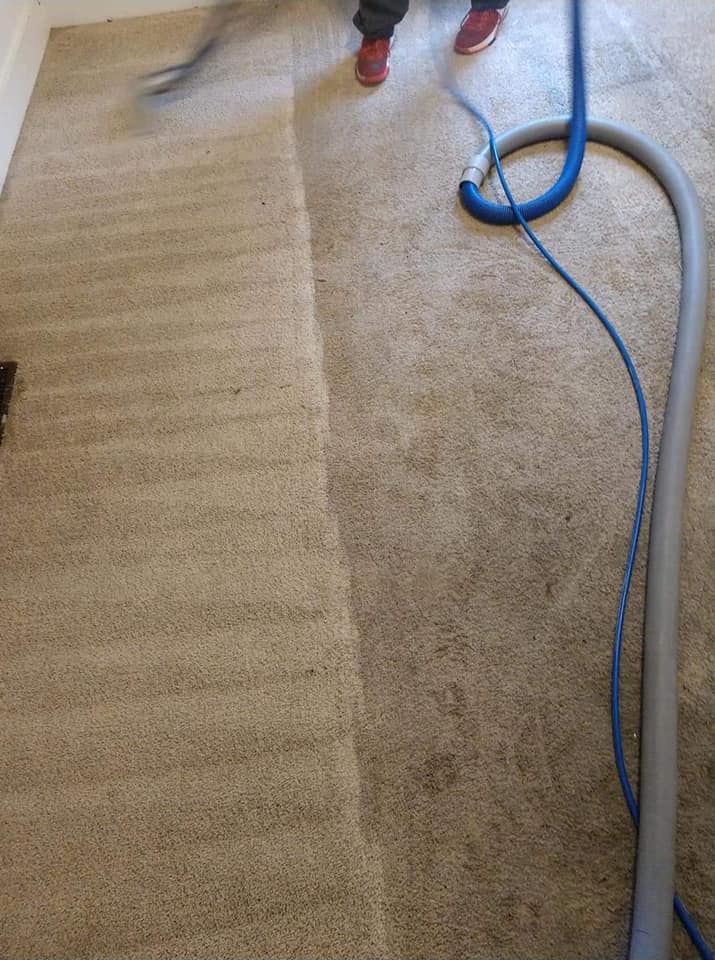 Carpet Cleaner for Steam Bros LLC in Greensboro, NC