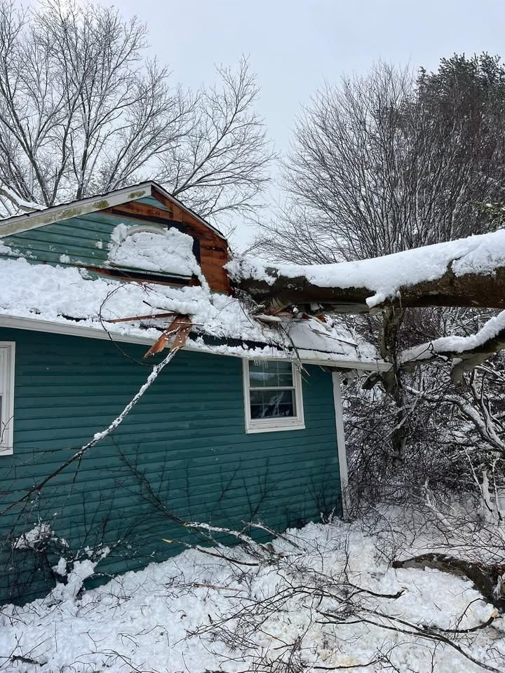 All Photos for Etherton’s Tree Service in Quinton, NJ