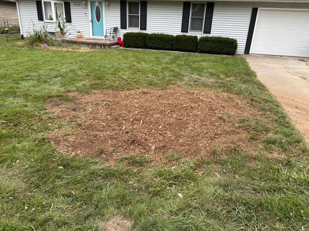 All Photos for Conrad's Stump Removal in Columbus, IN