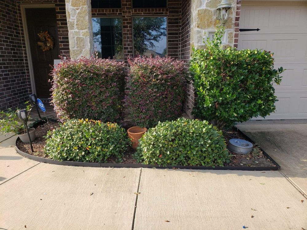 All Photos for Paquito's Landscaping in Ellis County, TX