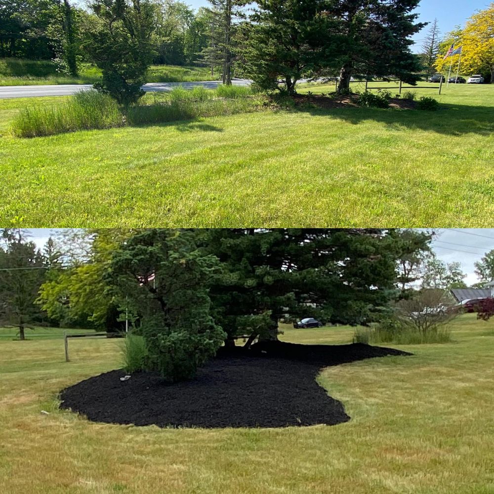 Fall Clean Up for Cuellar Lawn Care in Stone Ridge , NY 