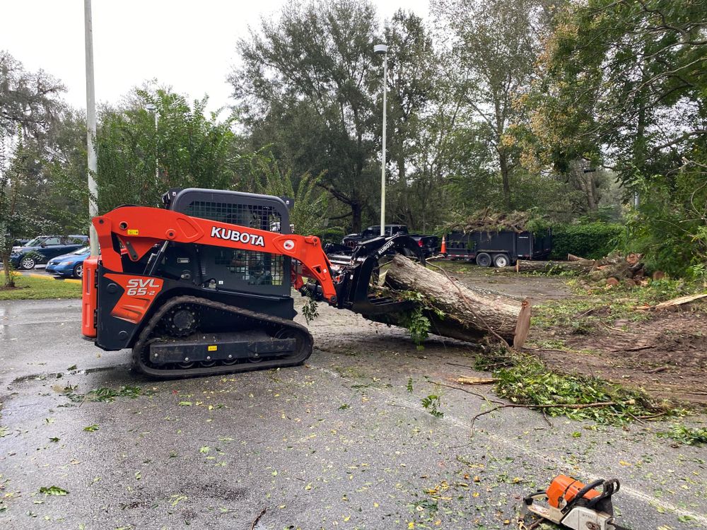 Tree Removal for 163 Property Maintenance in Hernando County,  FL