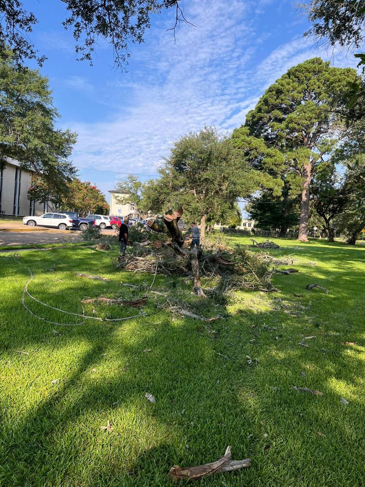 All Photos for JC Land and Tree Service in Kilgore, TX