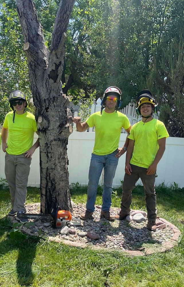 Other Services for Clean Cut Tree Service in Gillette, WY