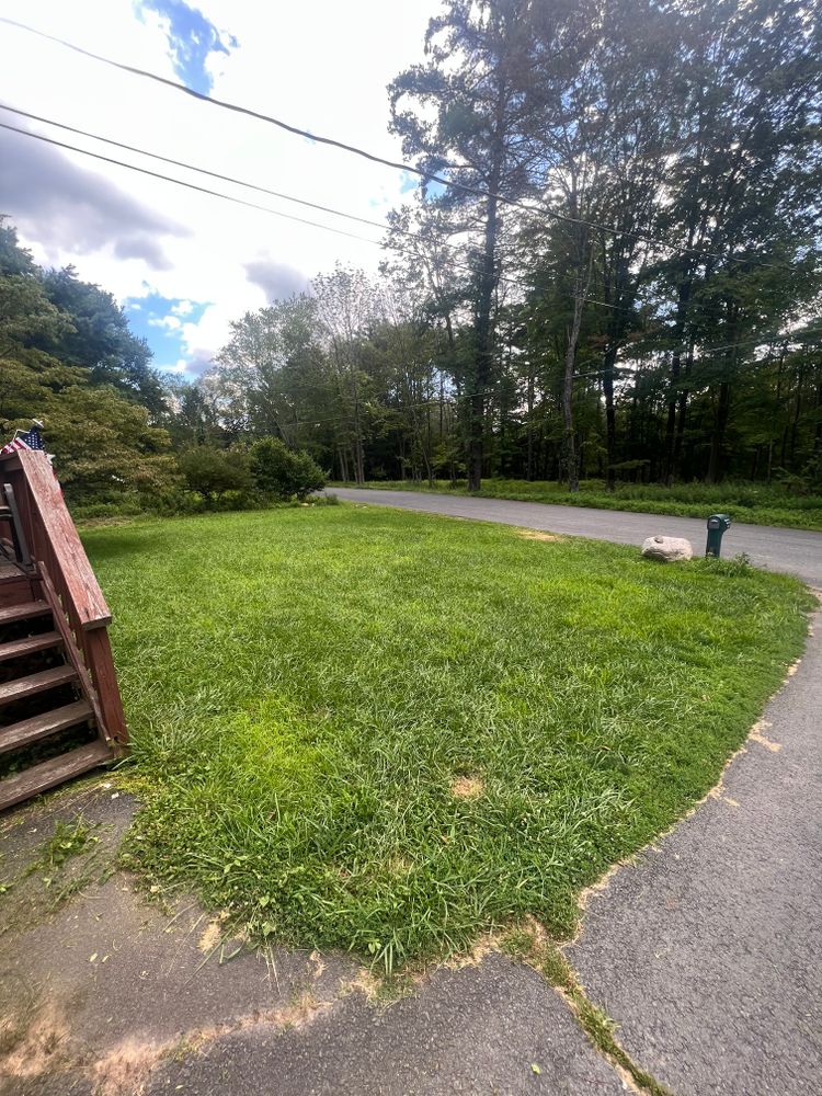 Lawn Care for Triscape LLC  in Port Jervis, NY