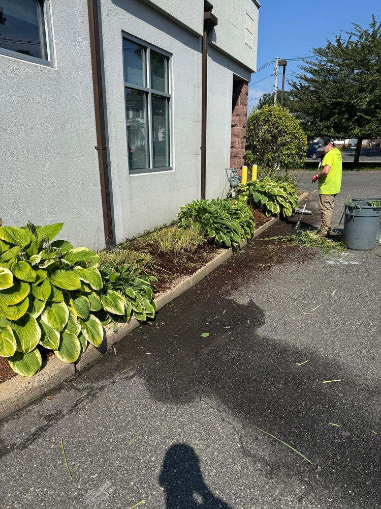 All Photos for Adams Landscaping in Springfield, MA