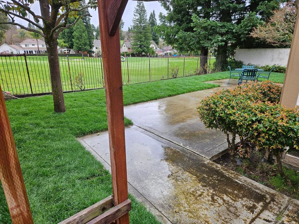 Sod & Irrigation for Martin Stanko Landscape Construction in Livermore, CA