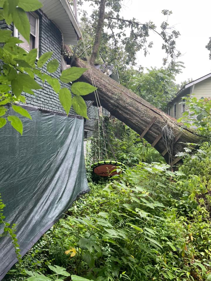 Tree Removal for Bulldawg Disaster Response in Atlanta, GA