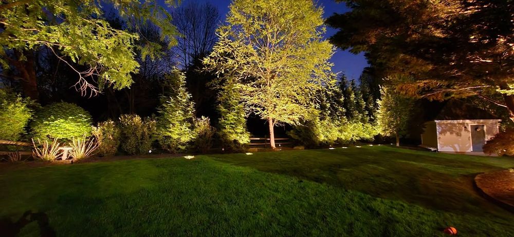 All Photos for Luminationnights LLC in Chester, PA