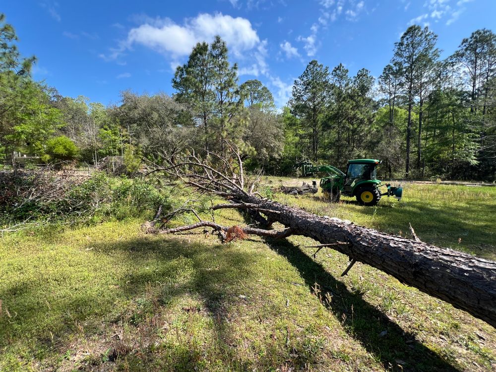 All Photos for Southern Venom Services in Daphne, AL