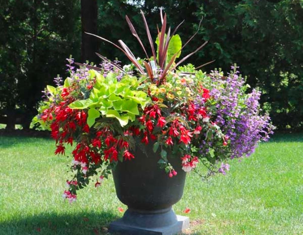 All Photos for Hightower Home Improvement and Garden in Atlanta, GA