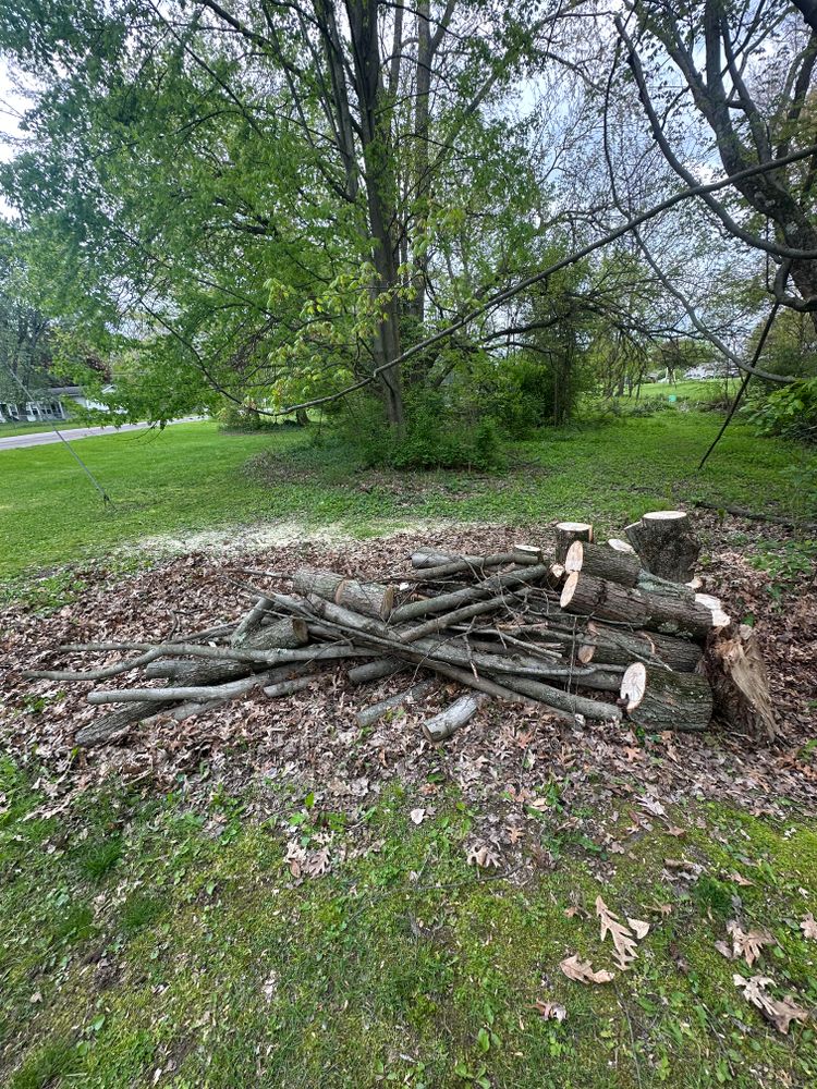 Tree Removal for Blakescape in Elkhart, IN