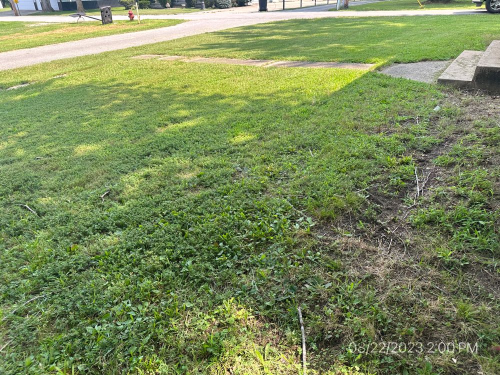 All Photos for RFS Home Inspections in Bowling Green, KY