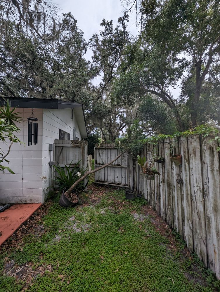 All Photos for Regal Tree Service and Stump Grinding in Wauchula, FL