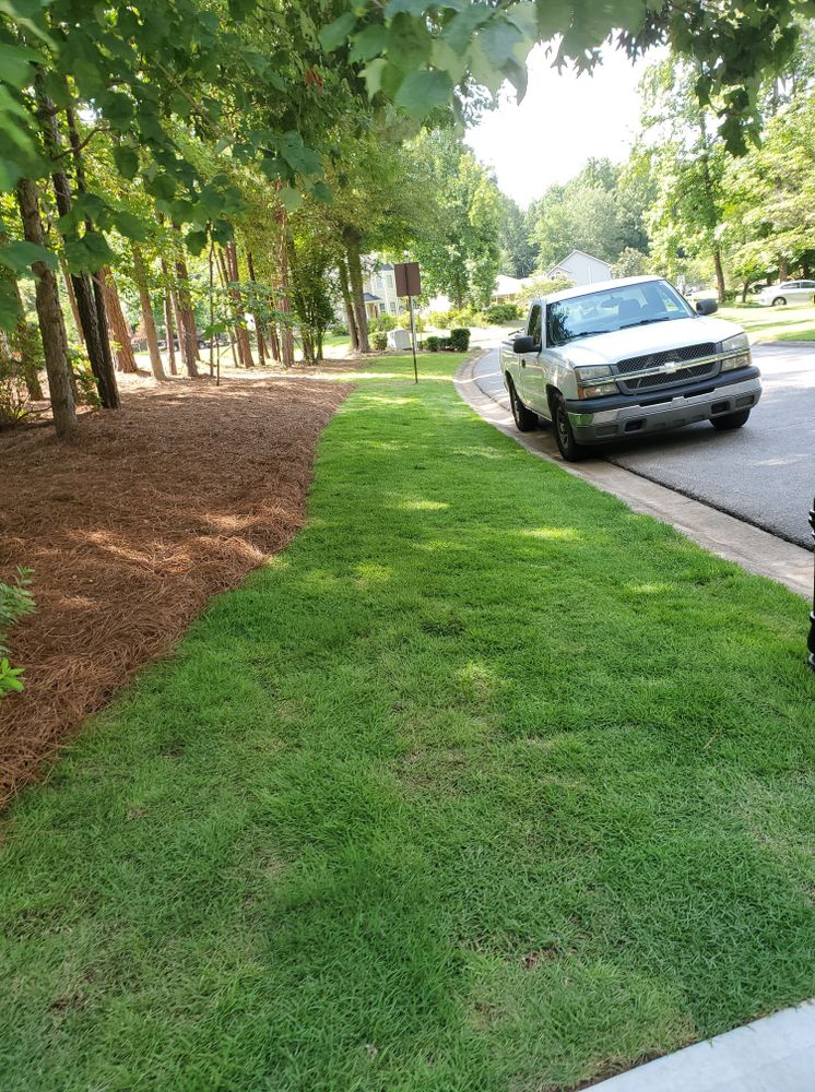 Mulch Installation for Zambrana Landscaping in Cobb County, GA