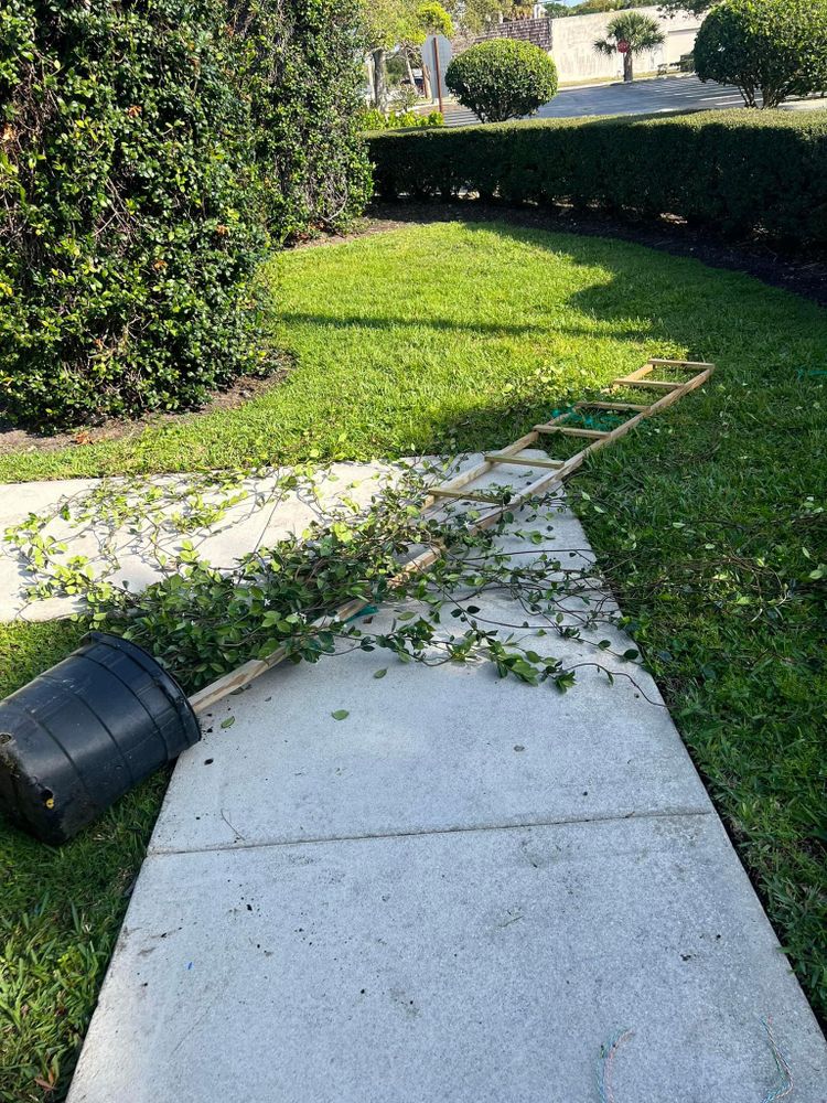 All Photos for Rey Landscaping & Lawn service LLC in West Palm Beach,  FL