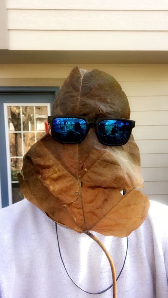 CLEANUPS for Rock Masters Inc. in Evans, CO