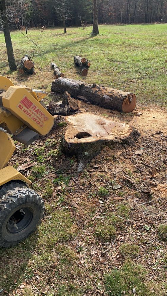 Our professional stump removal service safely eliminates unwanted stumps, enhancing your landscape's appearance and preventing pest infestations, while also promoting healthy lawn growth and providing a clean slate for future landscaping projects. for Gray’s Tree Service Inc in Maurertown, VA
