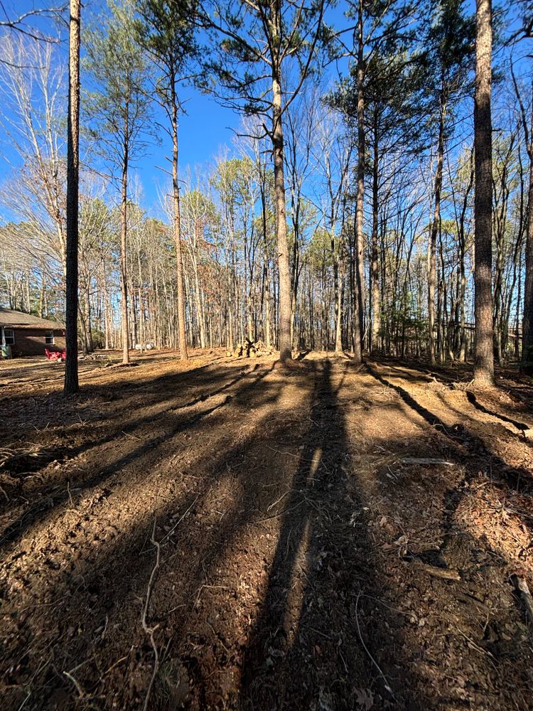 All Photos for TD Dirtworks in Tracy City, TN