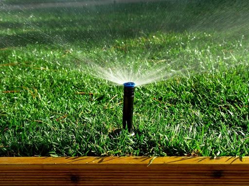 All Photos for Whole 9 Yards Services LLC in Green Cove Springs, FL