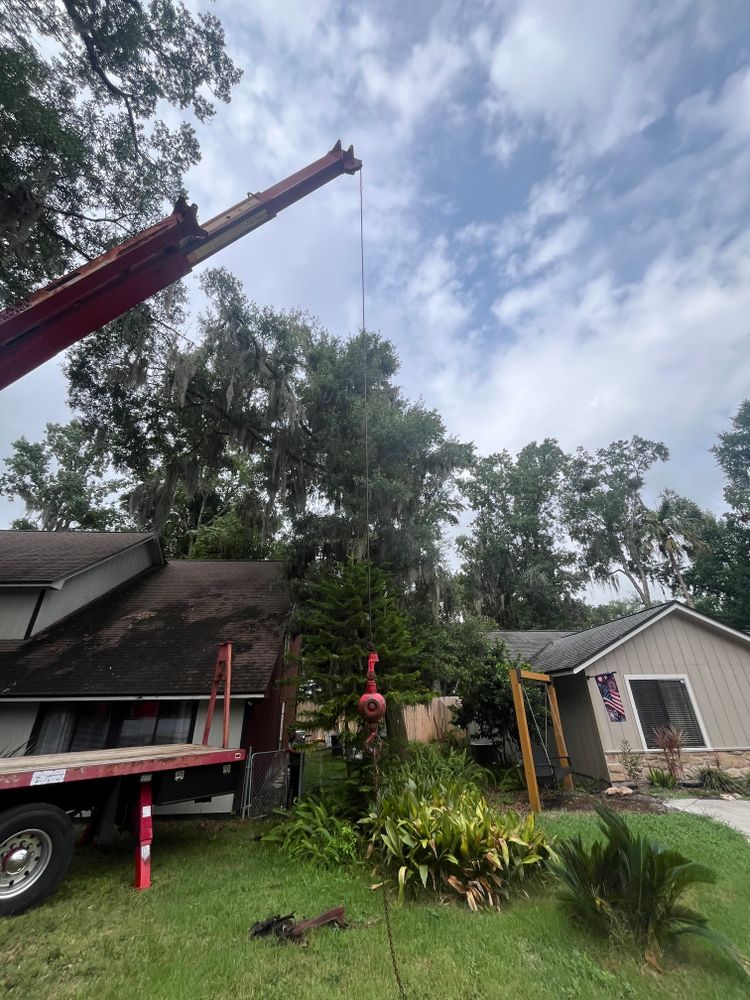 All Photos for Top Notch Tree Experts in Orange Park, FL