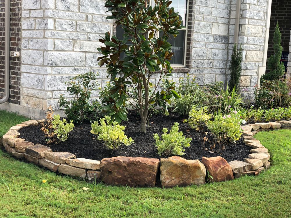 All Photos for Texas Curb N Borders in Houston, TX