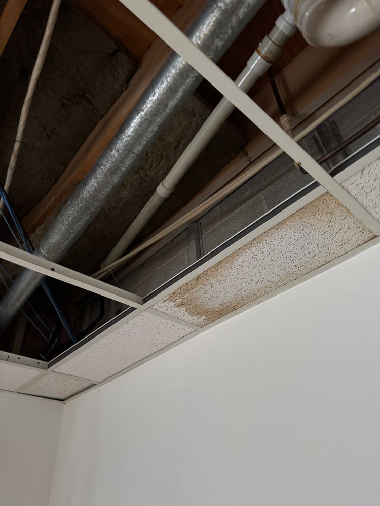 All Photos for Sanchez Paint Pros in Frederick, MD
