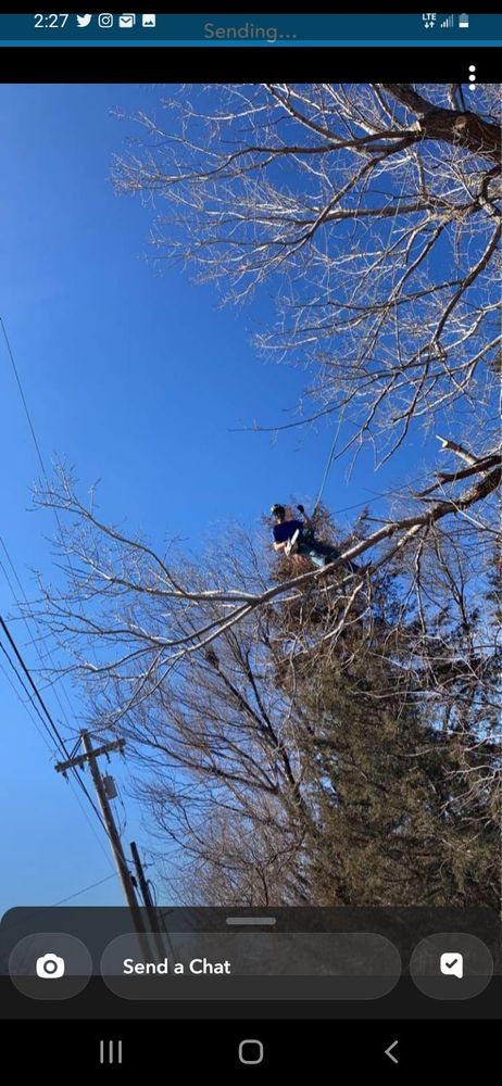 Tree Removal for SMH Tree Service in Atwood, KS