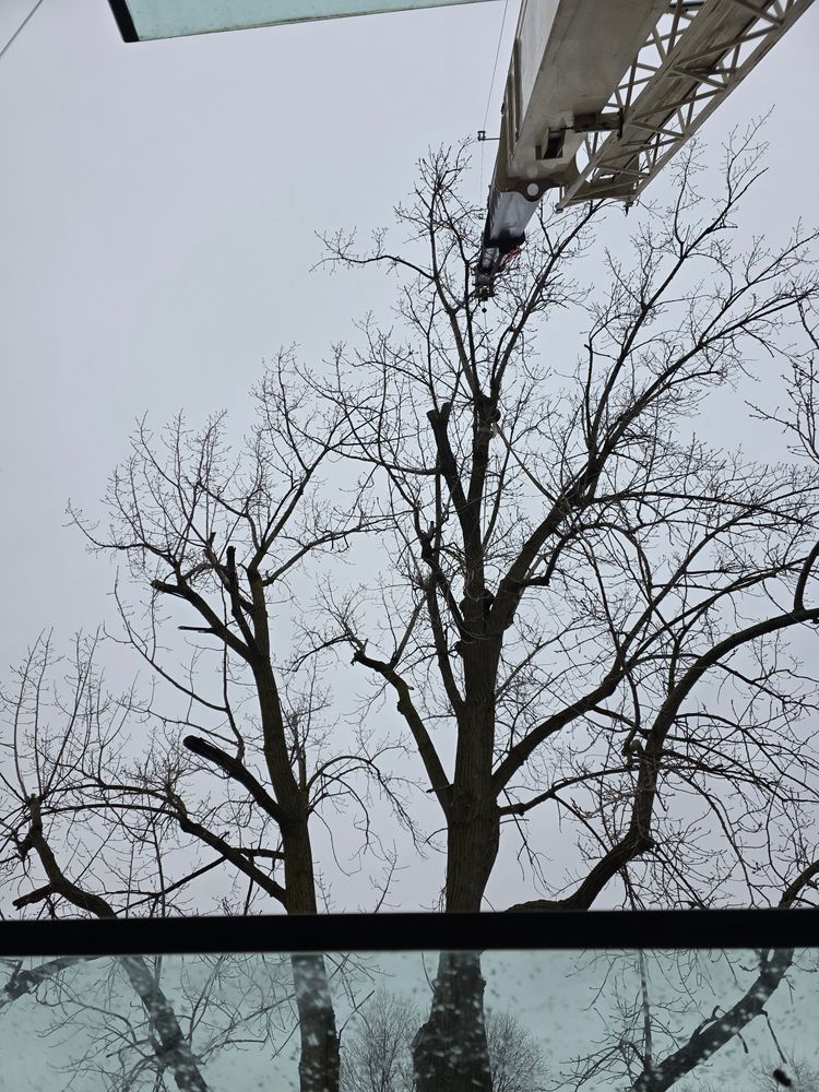All Photos for Advanced Tree Solutions in Rockville, IN