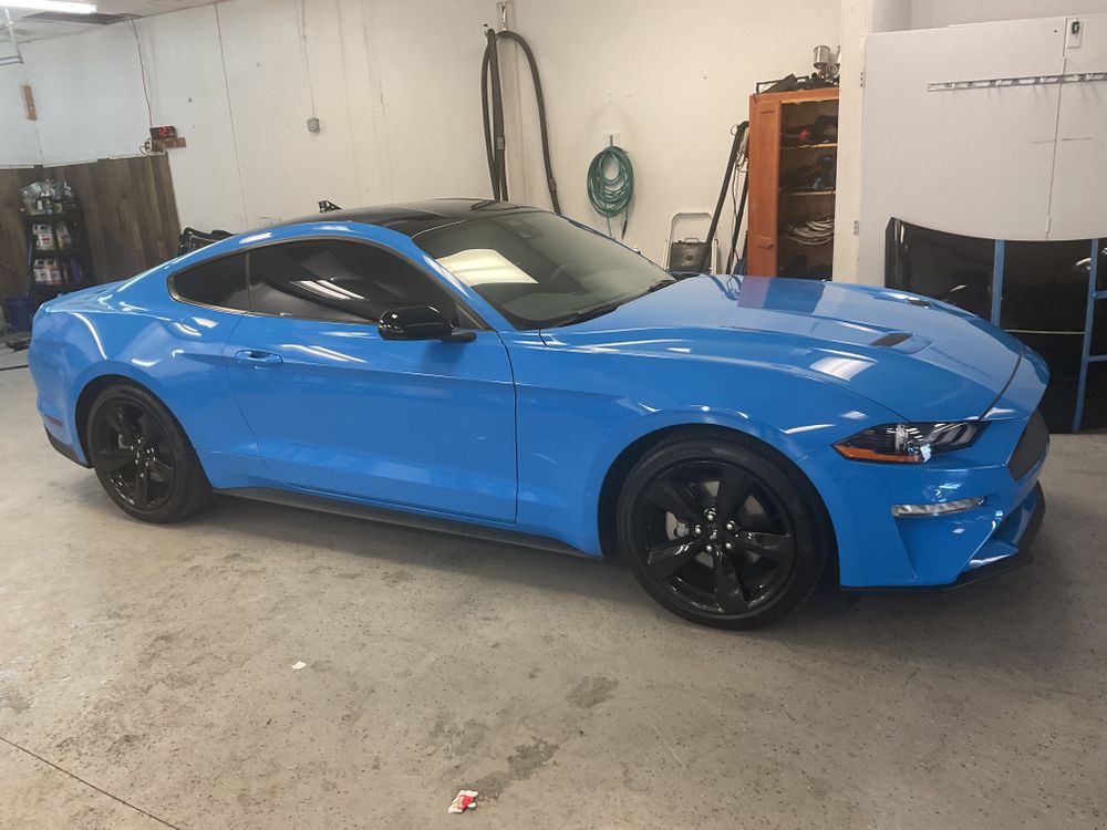 All Photos for Apex Windshield Repair & Window Tinting-Auto Window Tinting-Home Window Tinting-Auto Glass Repair Service-Near Me-Serving Horry County South Carolina-Myrtle Beach-SC in Dover County, DE