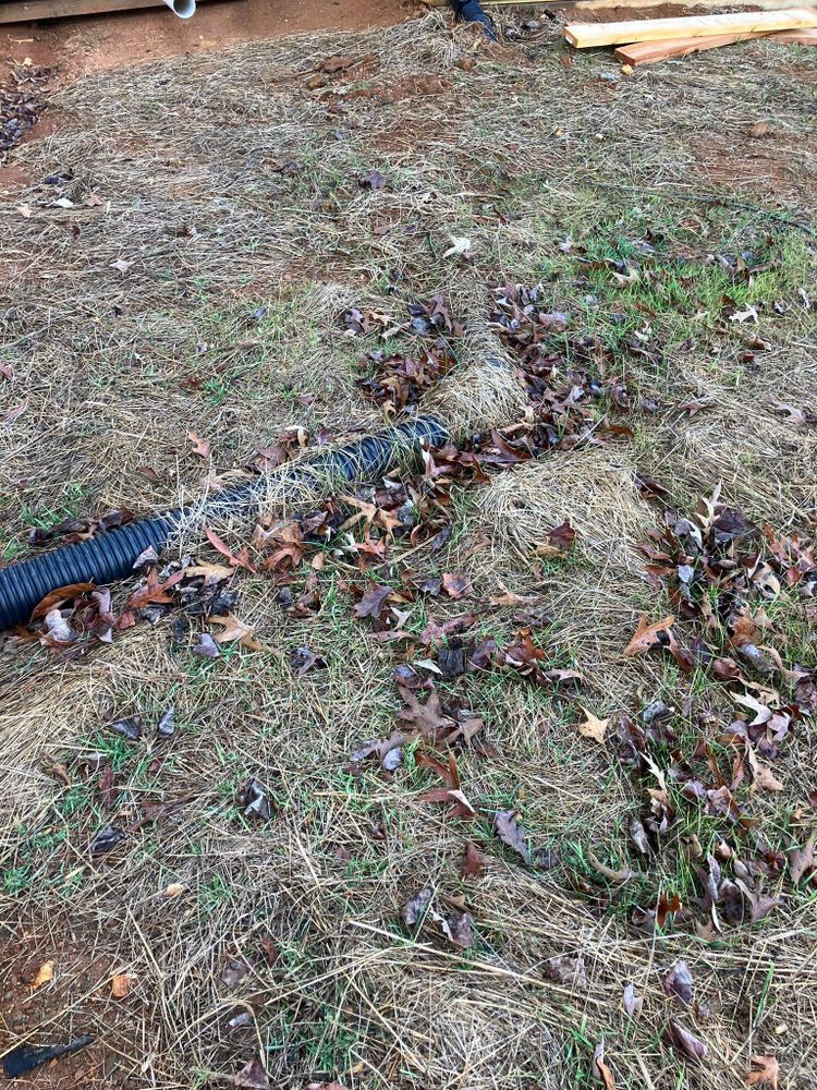 All Photos for Gibson Grade Works in Towns County, GA