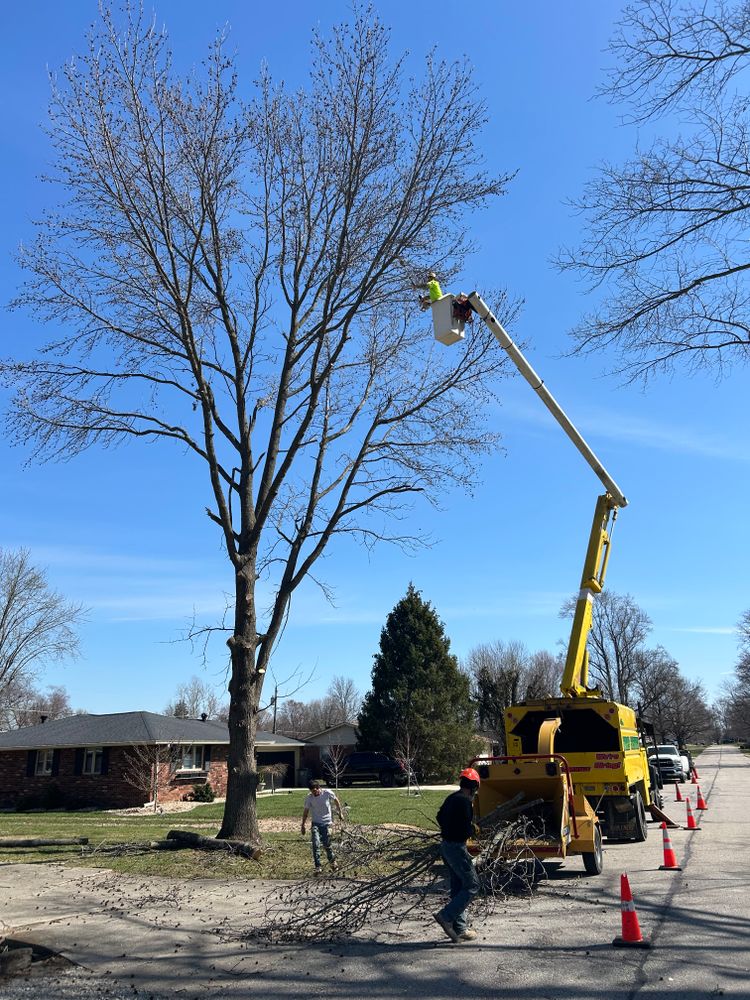 All Photos for SMITHs Tree Service in Columbus, IN