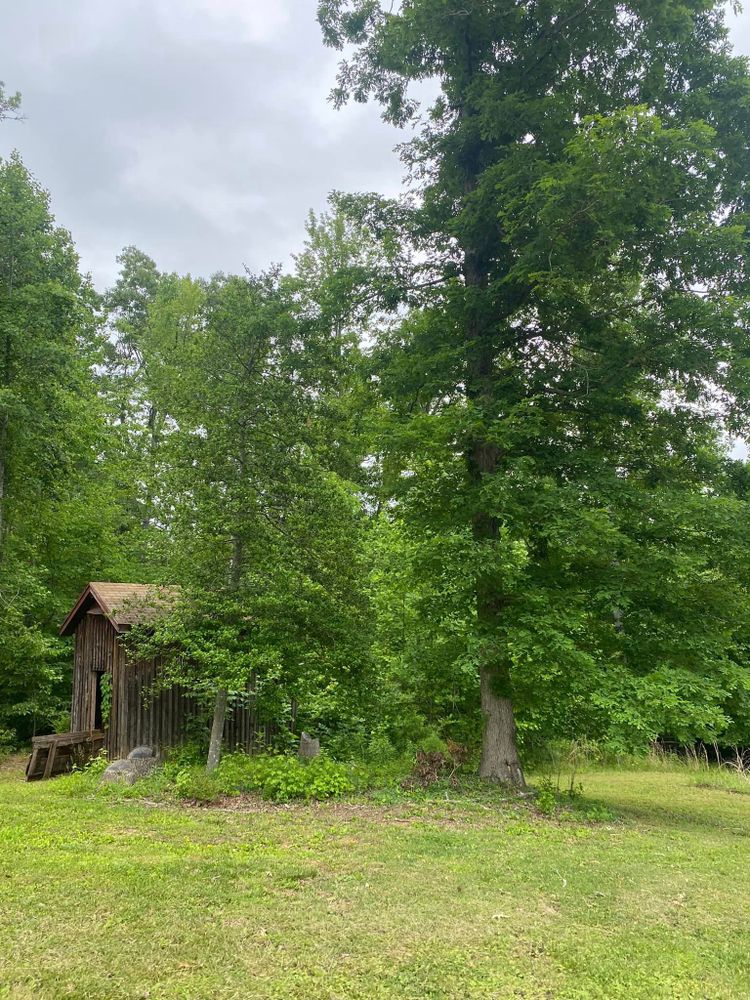 Our Fall Clean Up service is designed to help homeowners prepare their outdoor spaces for the upcoming season by removing leaves, debris, and ensuring a tidy environment. Schedule your appointment today! for Ascending Tree Service LLC in Kenbridge, VA