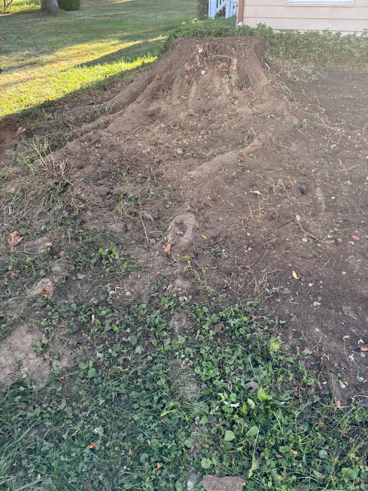 All Photos for Dean's Stump Removal in Youngstown, OH