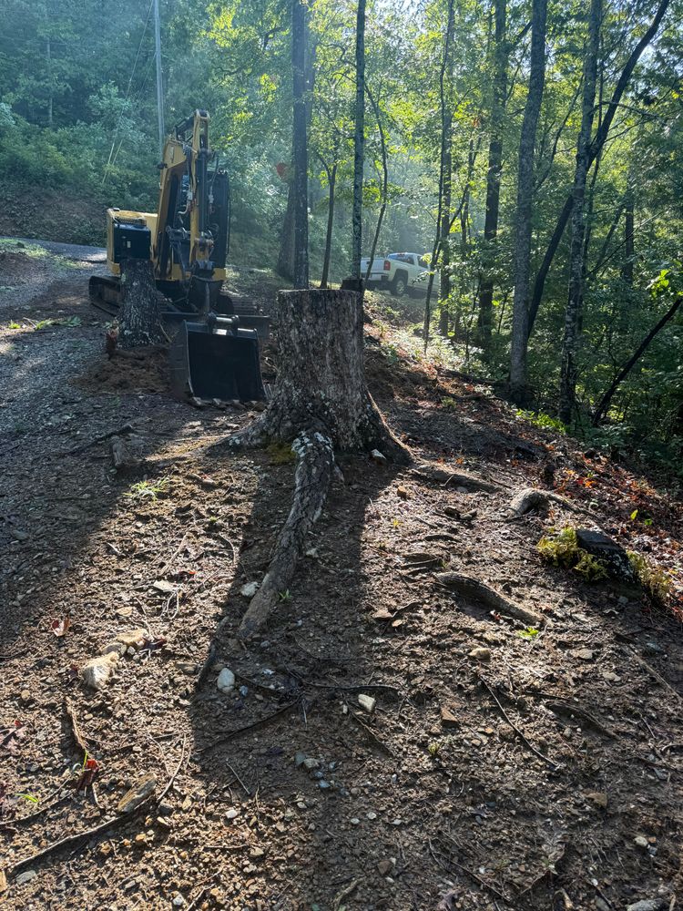Stump removal for T Crane Grading LLC in Clarkesville, GA