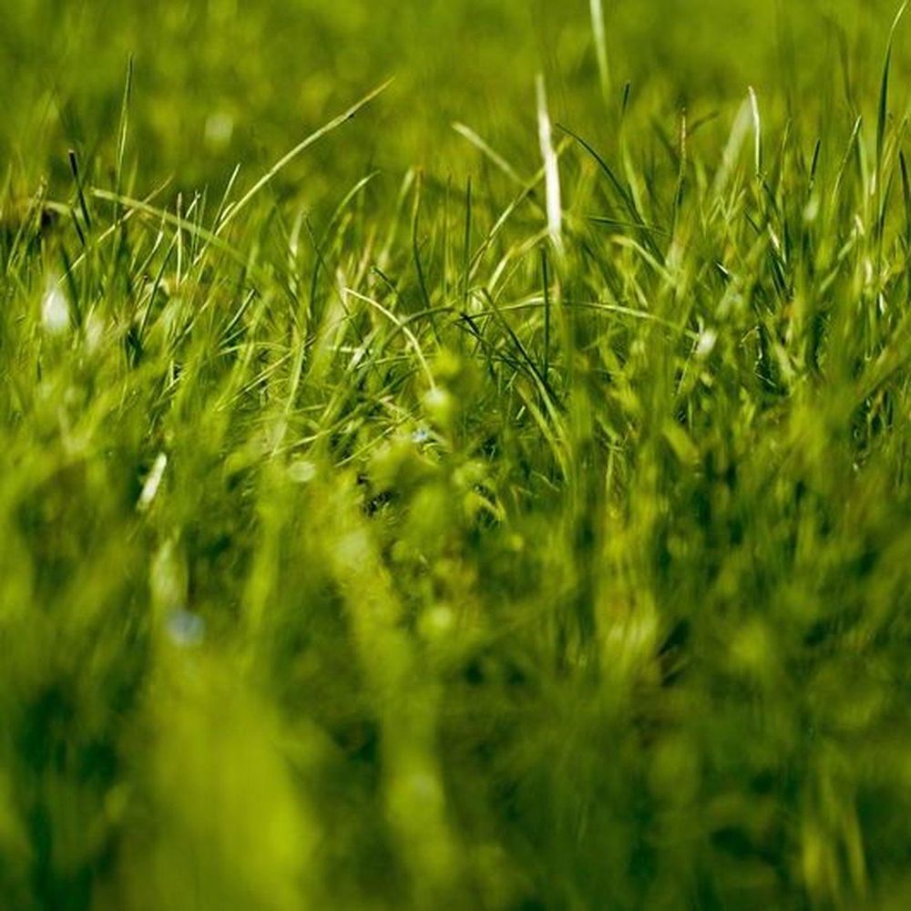 All Photos for Terra Heights Tree Experts & Landscaping  in Grass Valley,  CA