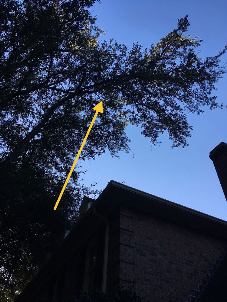 All Photos for Tucker's Tree Service and Stump Grinding in Lugoff, SC