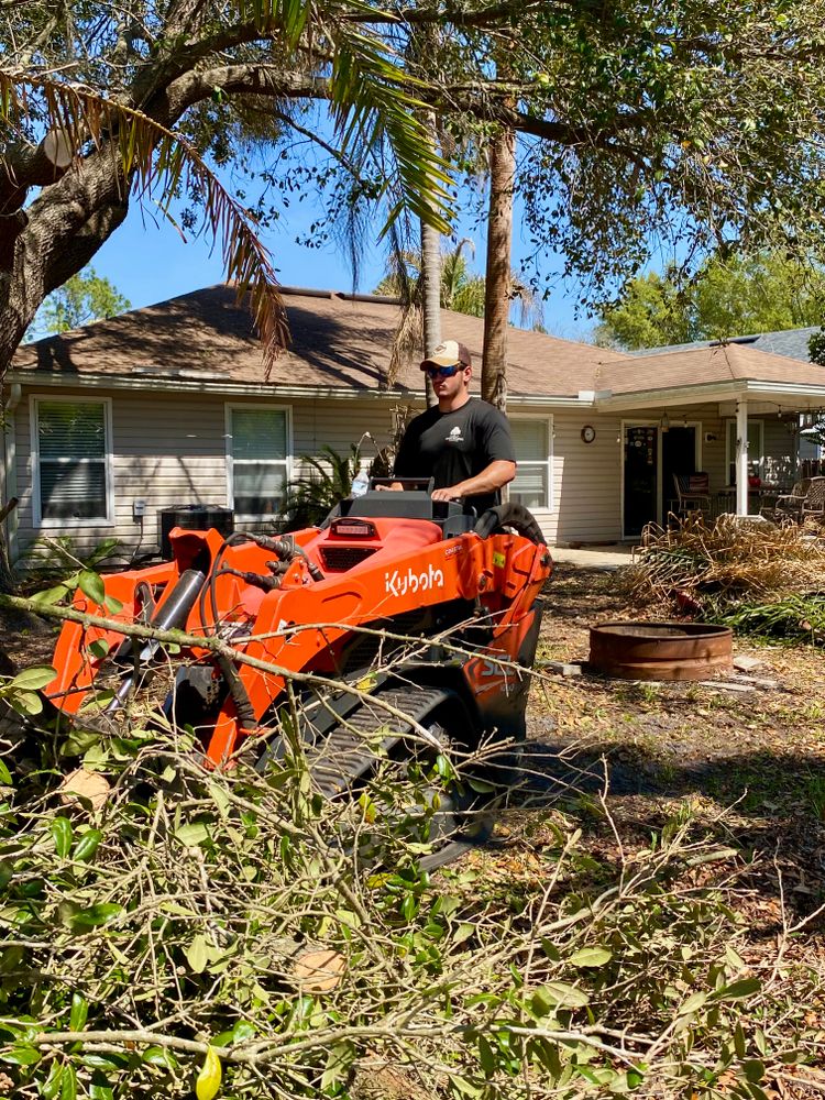 All Photos for Top Notch Tree Experts in Orange Park, FL