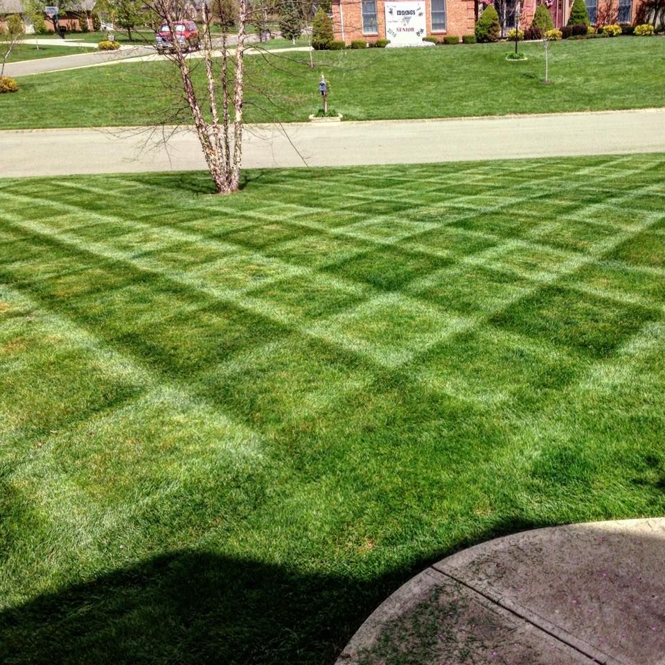Keep your lawn neat and healthy with our professional mowing services for residential and corporate properties. We offer regular mowing, edging, and grass cleanup, with pricing based on lawn size for fair and affordable rates.  for Mow and Go in Syracuse, NY