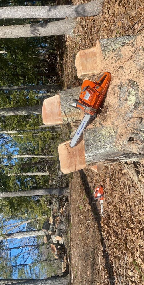 We remove hazardous/ unwanted trees we can come in and make your forest look like a state park! for Willett's Forest and Property Maintenance in 03278, NH