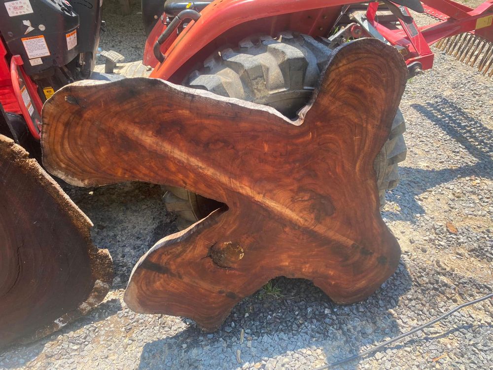 All Photos for Brocks Tree Service LLC in Rogersville, TN