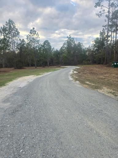 All Photos for Giles Land Management, LLC in Hahira, GA