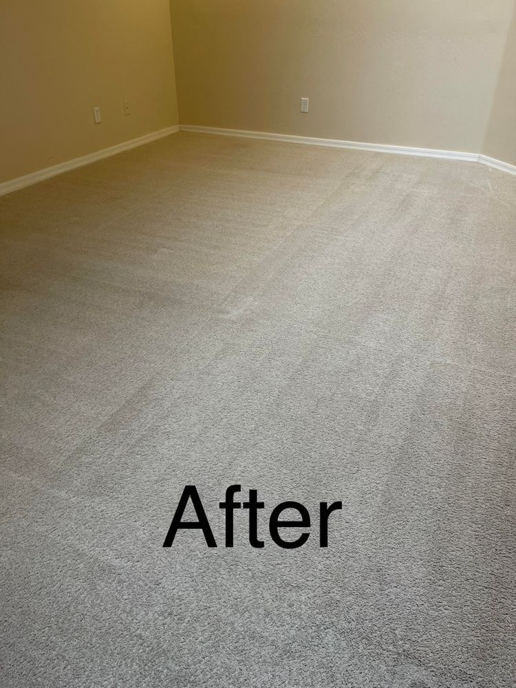 Carpet Cleaning for Superstition Carpet and Tile Care LLC in Apache Junction, AZ